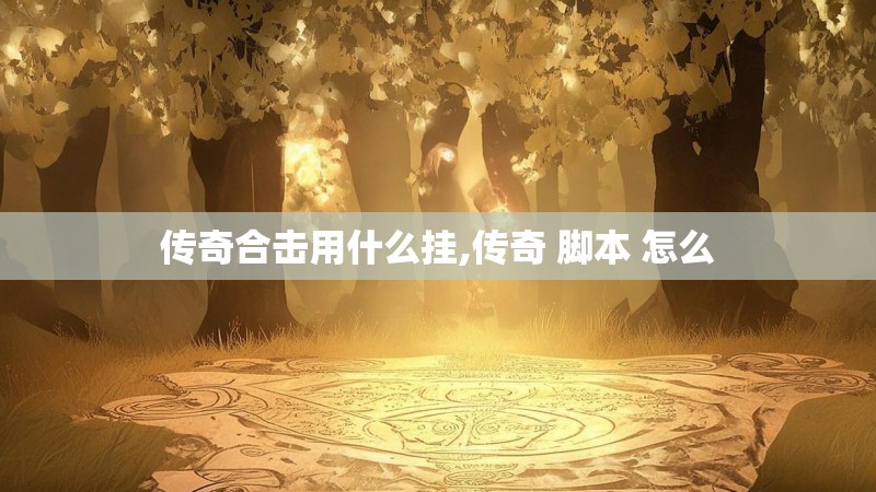 传奇合击用什么挂,传奇 脚本 怎么