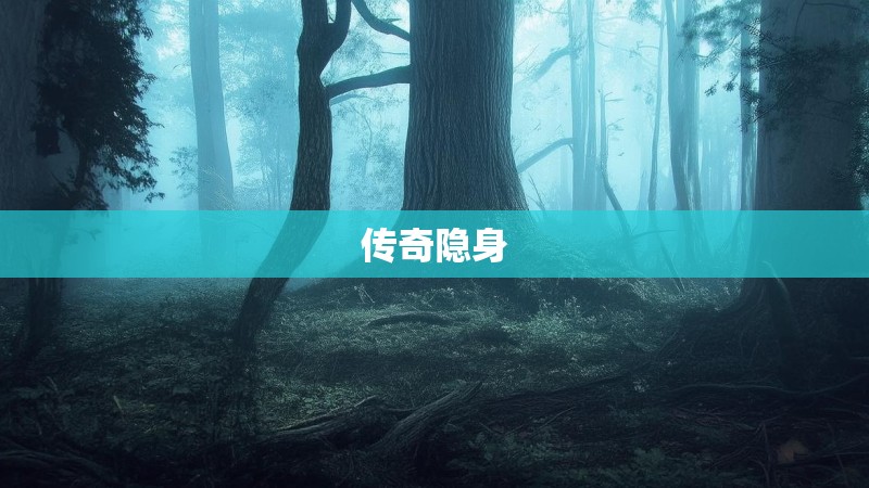传奇隐身