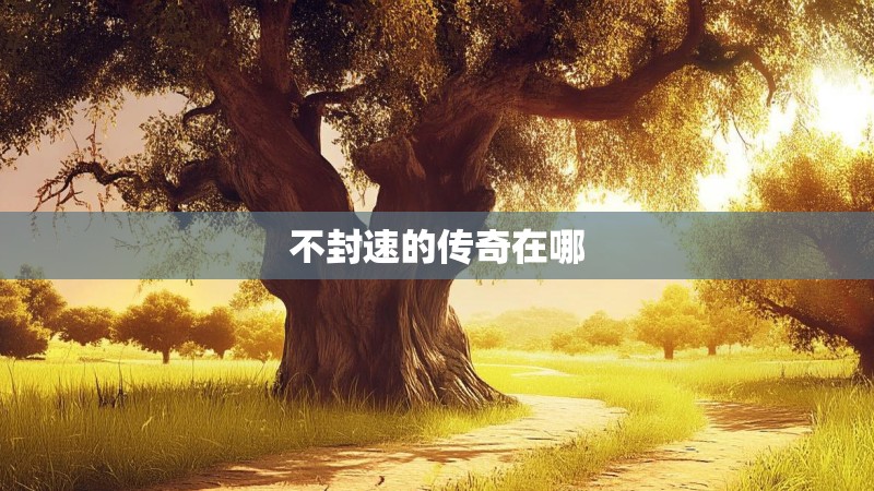 不封速的传奇在哪