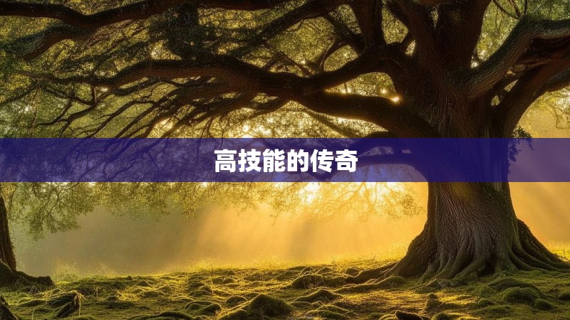 高技能的传奇