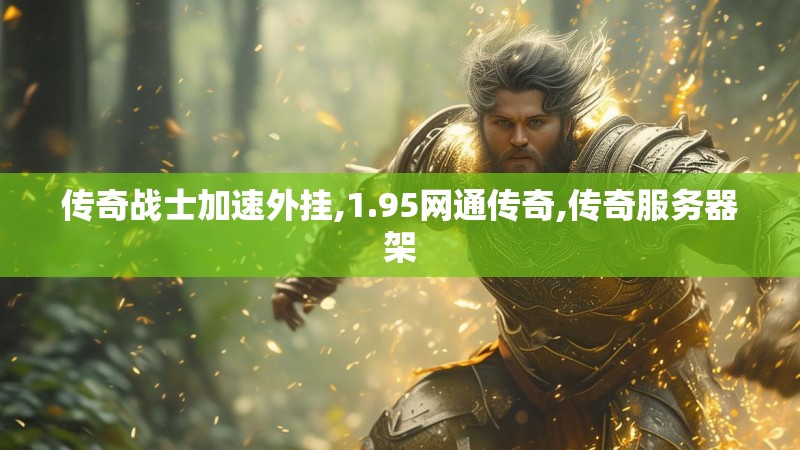 传奇战士加速外挂,1.95网通传奇,传奇服务器架