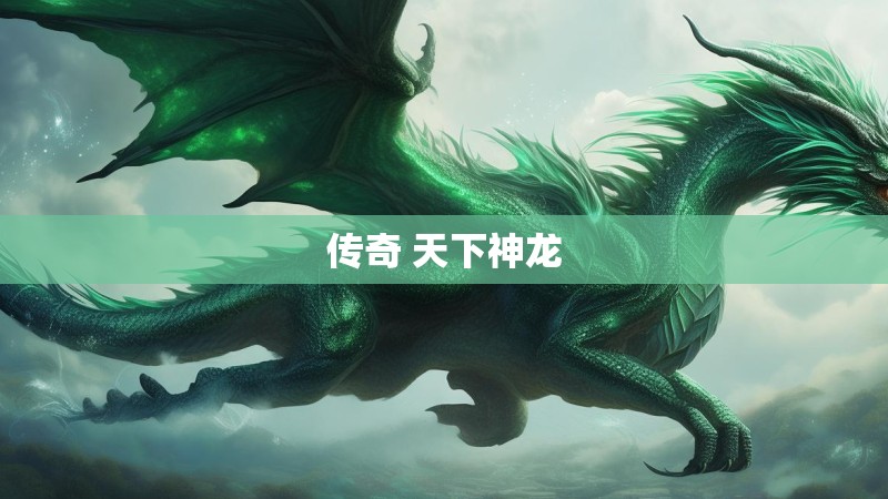 传奇 天下神龙