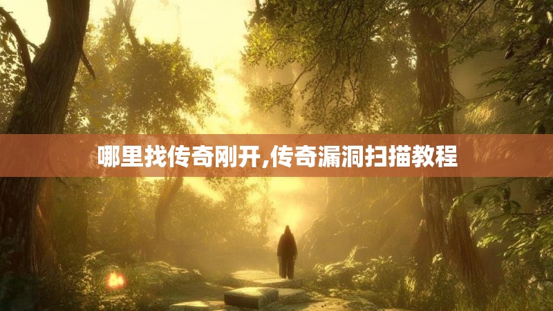 哪里找传奇刚开,传奇漏洞扫描教程