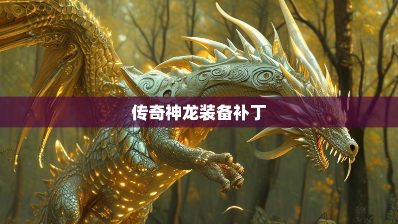 传奇神龙装备补丁