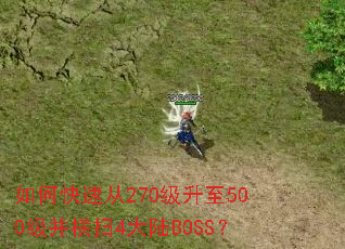 如何快速从270级升至500级并横扫4大陆BOSS？