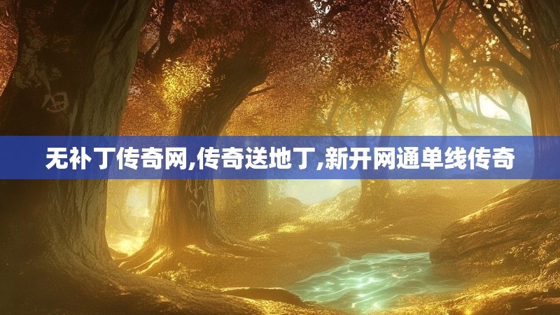 无补丁传奇网,传奇送地丁,新开网通单线传奇