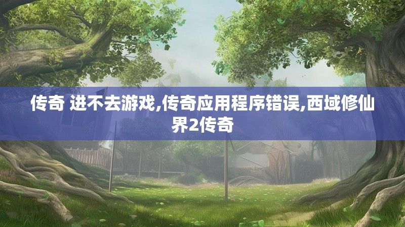 传奇 进不去游戏,传奇应用程序错误,西域修仙界2传奇