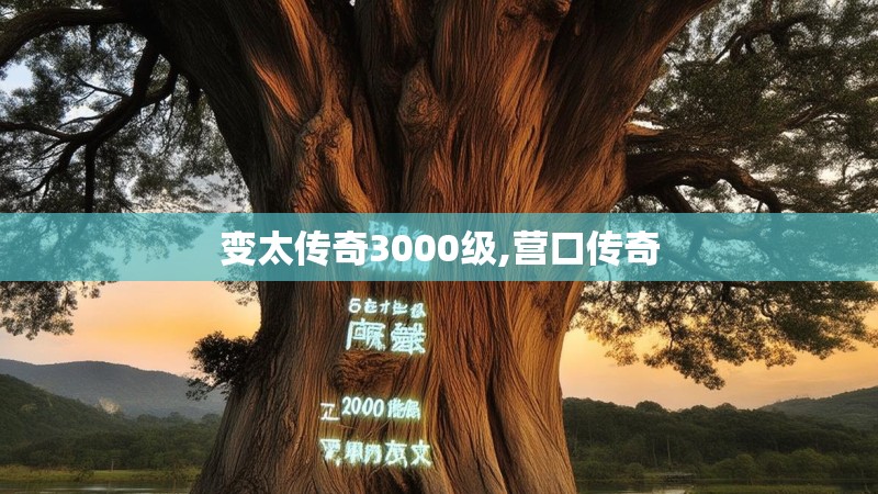 变太传奇3000级,营口传奇
