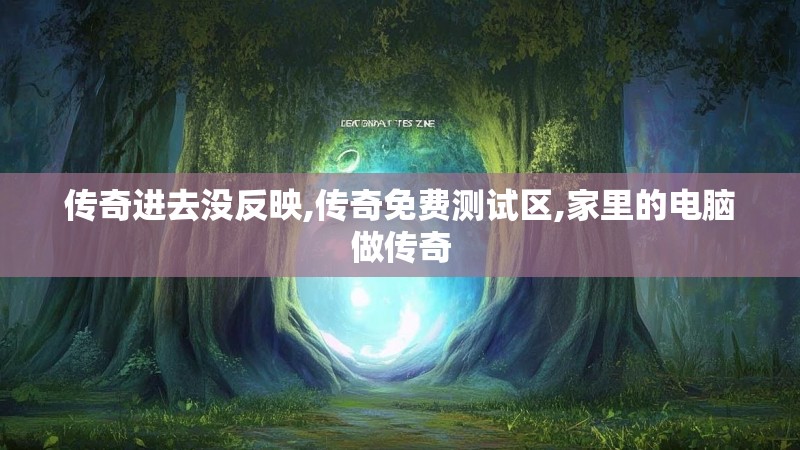 传奇进去没反映,传奇免费测试区,家里的电脑做传奇