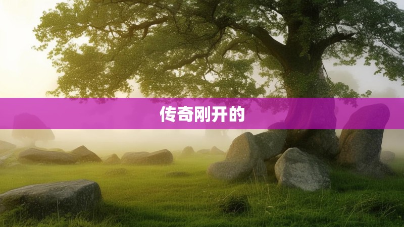 传奇刚开的