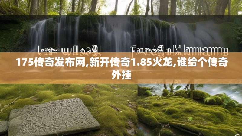175传奇发布网,新开传奇1.85火龙,谁给个传奇外挂