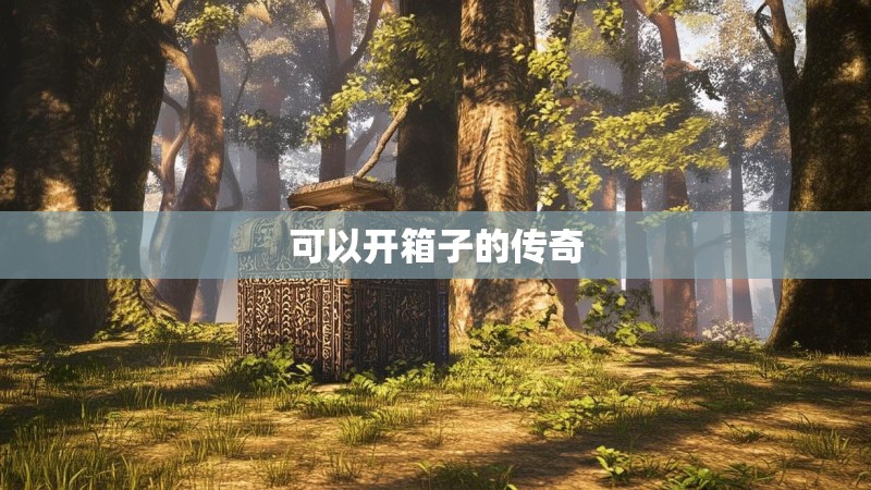 可以开箱子的传奇
