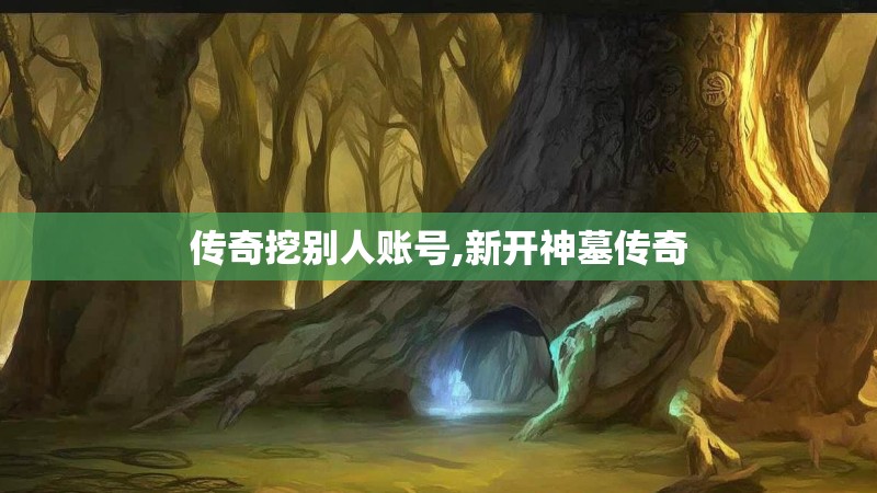传奇挖别人账号,新开神墓传奇