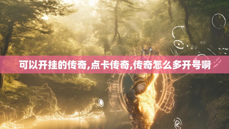 可以开挂的传奇,点卡传奇,传奇怎么多开号啊