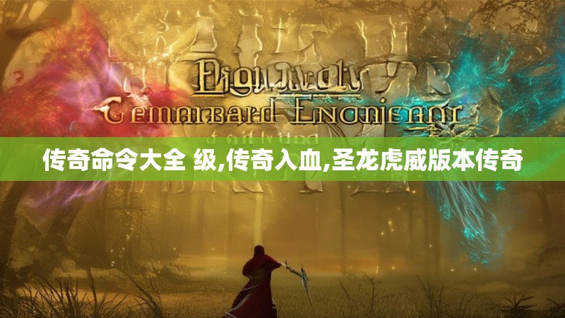 传奇命令大全 级,传奇入血,圣龙虎威版本传奇