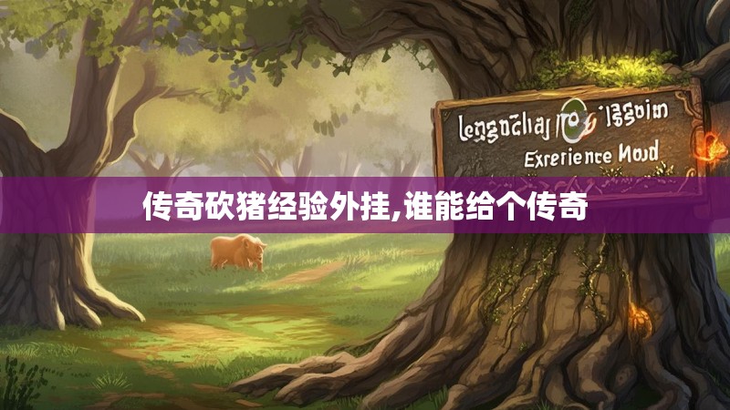 传奇砍猪经验外挂,谁能给个传奇