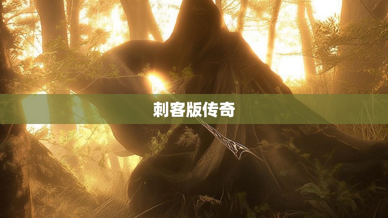 刺客版传奇