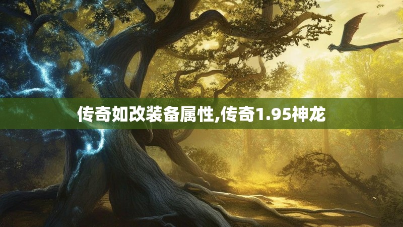 传奇如改装备属性,传奇1.95神龙