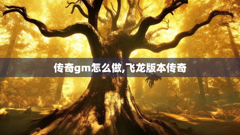 传奇gm怎么做,飞龙版本传奇
