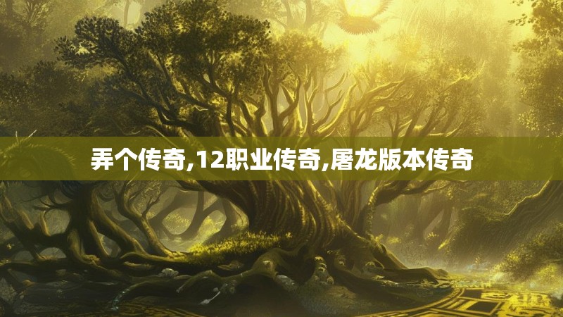 弄个传奇,12职业传奇,屠龙版本传奇