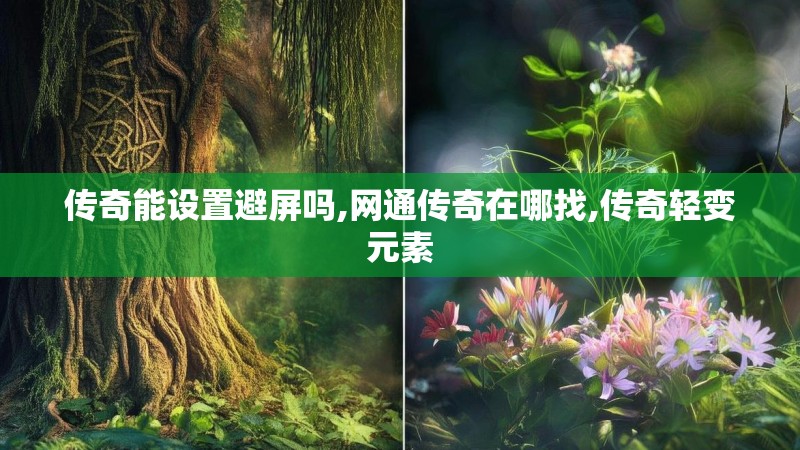 传奇能设置避屏吗,网通传奇在哪找,传奇轻变元素