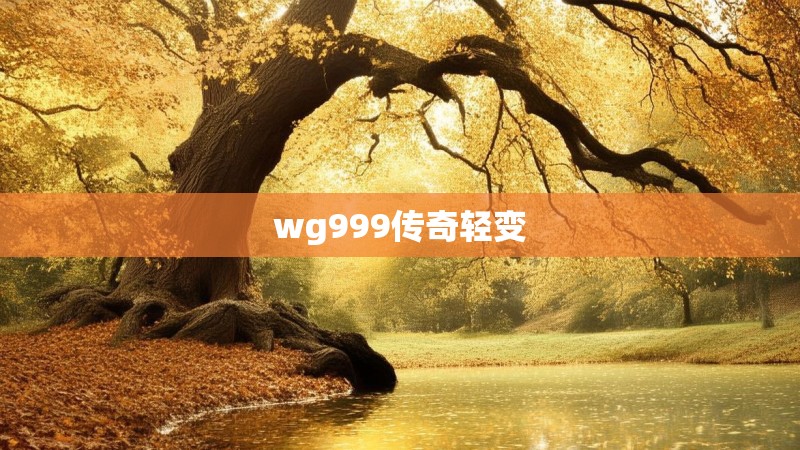 wg999传奇轻变