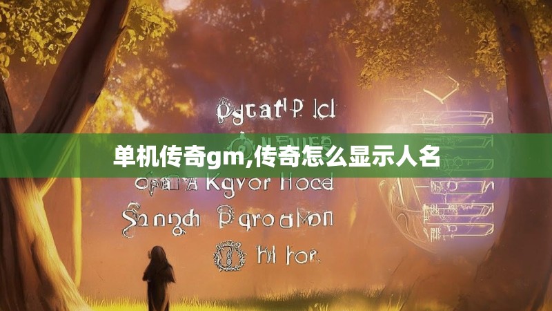 单机传奇gm,传奇怎么显示人名