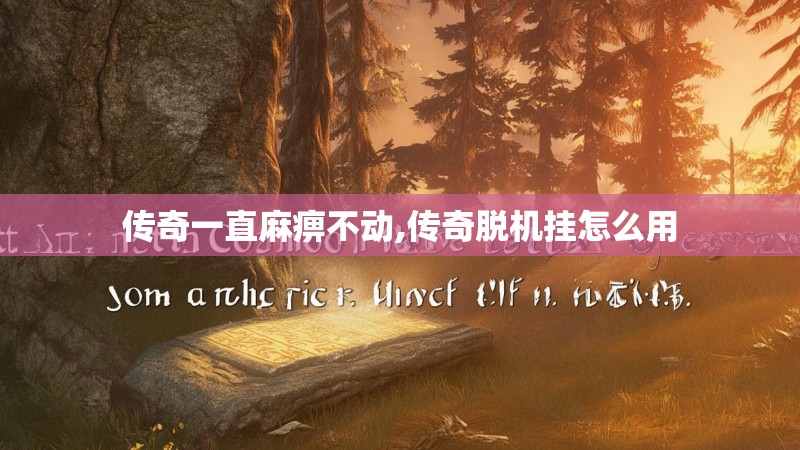 传奇一直麻痹不动,传奇脱机挂怎么用