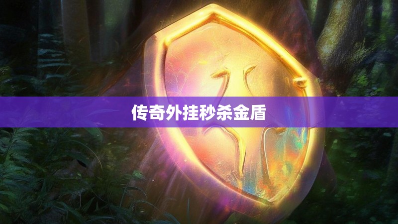 传奇外挂秒杀金盾