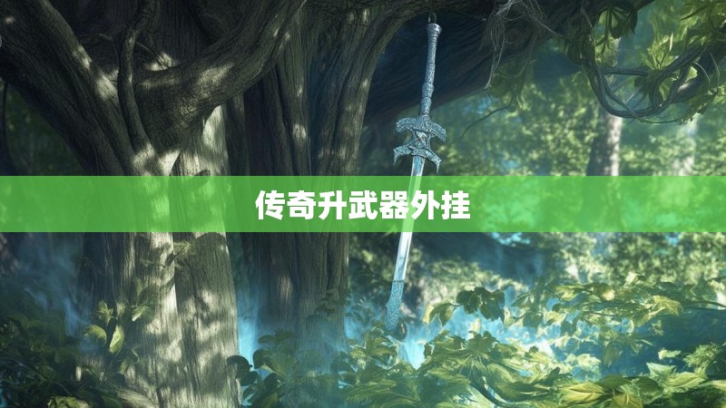 传奇升武器外挂