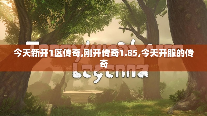 今天新开1区传奇,刚开传奇1.85,今天开服的传奇