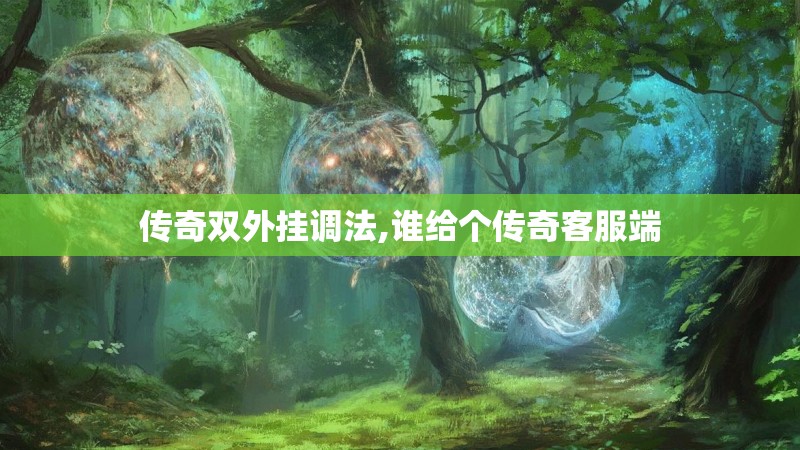 传奇双外挂调法,谁给个传奇客服端