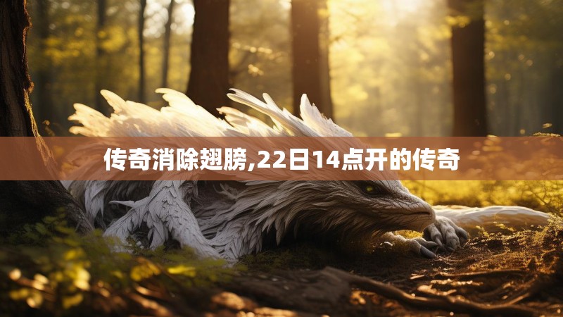 传奇消除翅膀,22日14点开的传奇