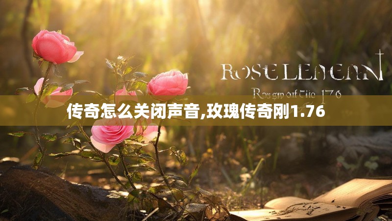 传奇怎么关闭声音,玫瑰传奇刚1.76