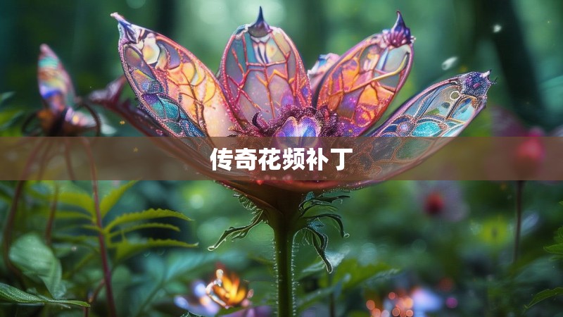 传奇花频补丁