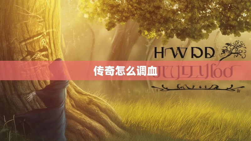 传奇怎么调血