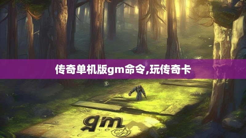传奇单机版gm命令,玩传奇卡