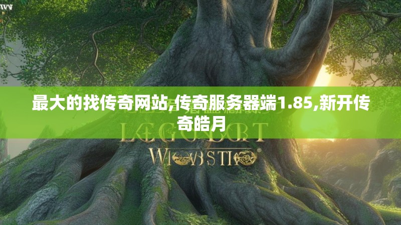 最大的找传奇网站,传奇服务器端1.85,新开传奇皓月