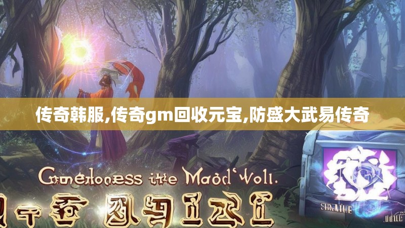 传奇韩服,传奇gm回收元宝,防盛大武易传奇