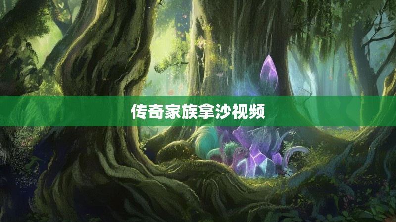 传奇家族拿沙视频