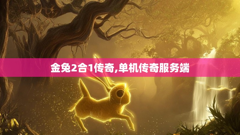 金兔2合1传奇,单机传奇服务端