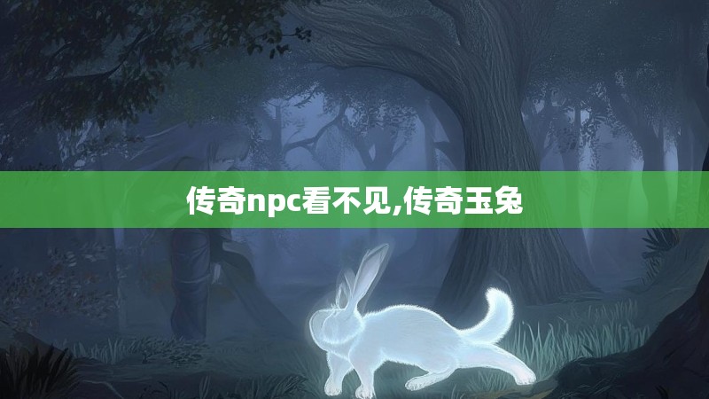 传奇npc看不见,传奇玉兔