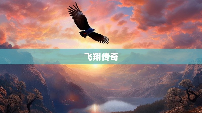 飞翔传奇