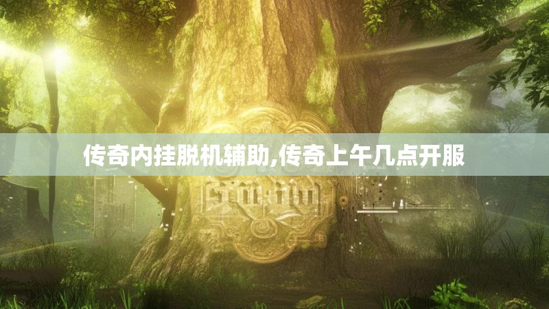 传奇内挂脱机辅助,传奇上午几点开服