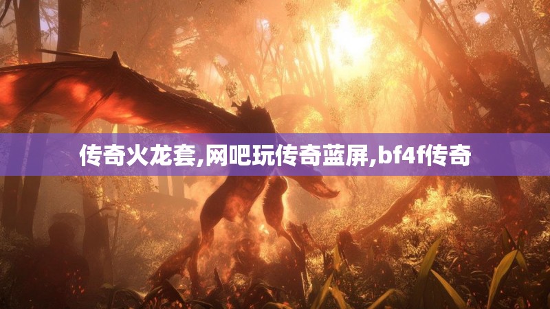 传奇火龙套,网吧玩传奇蓝屏,bf4f传奇