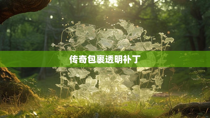 传奇包裹透明补丁