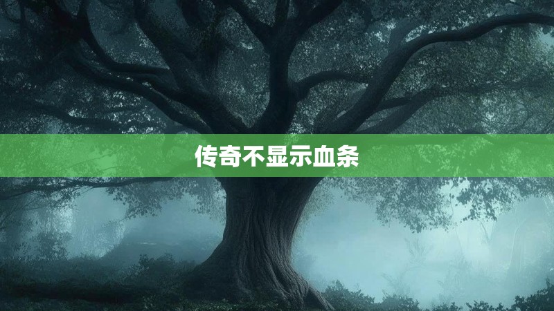 传奇不显示血条