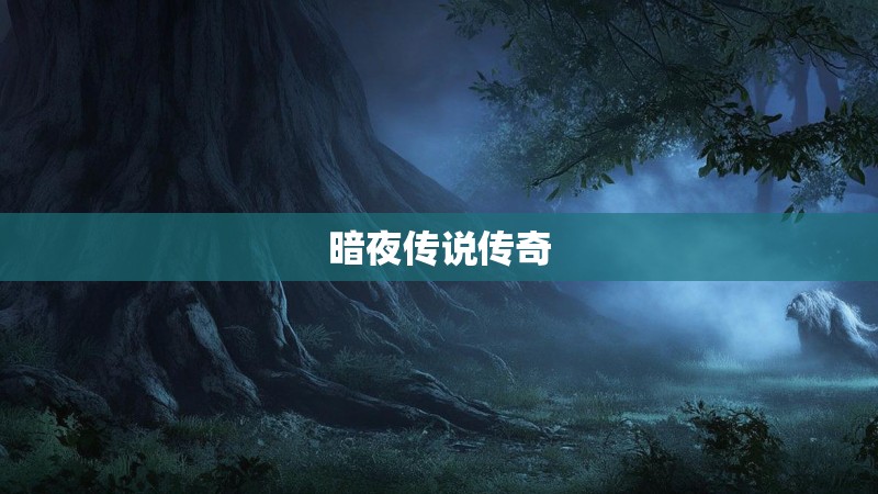暗夜传说传奇