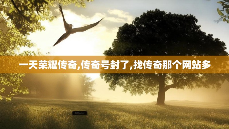 一天荣耀传奇,传奇号封了,找传奇那个网站多