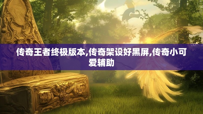 传奇王者终极版本,传奇架设好黑屏,传奇小可爱辅助